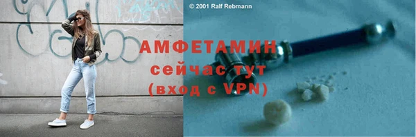 дмт Дмитровск
