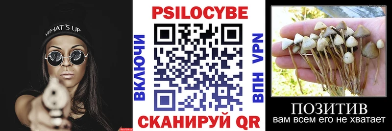 Купить где  Нижние Серги  Галлюциногенные грибы MAGIC MUSHROOMS 